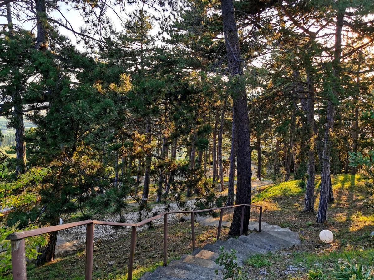 Villa Casina Dei Sogni Arezzo Exterior foto